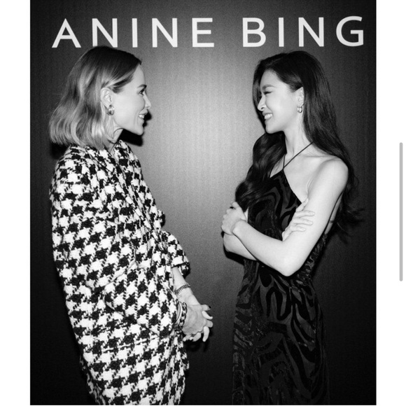 Anine Bing Leanne black maxi dress zebra burnout velvet texture size L NWT - Picture 2 of 11